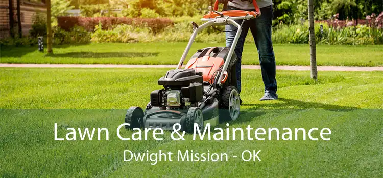 Lawn Care & Maintenance Dwight Mission - OK