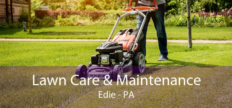 Lawn Care & Maintenance Edie - PA