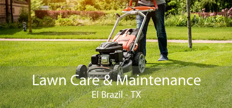 Lawn Care & Maintenance El Brazil - TX