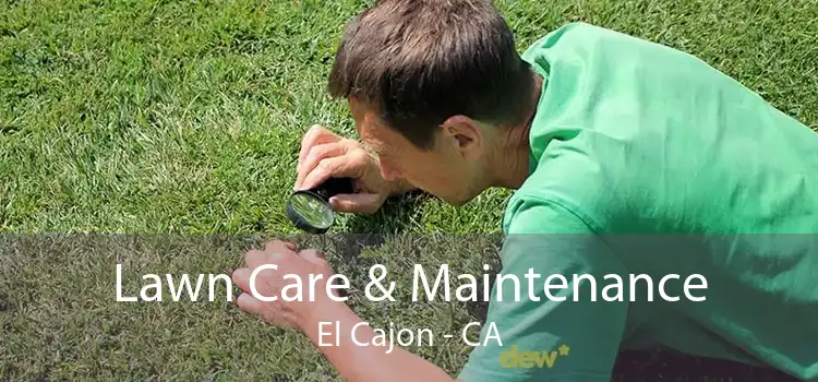 Lawn Care & Maintenance El Cajon - CA