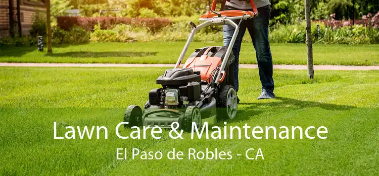 Lawn Care & Maintenance El Paso de Robles - CA