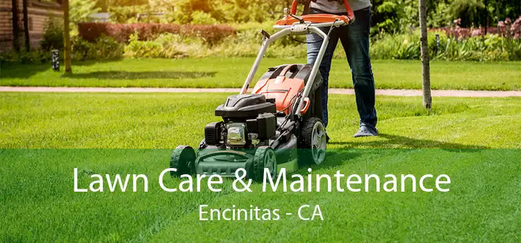 Lawn Care & Maintenance Encinitas - CA