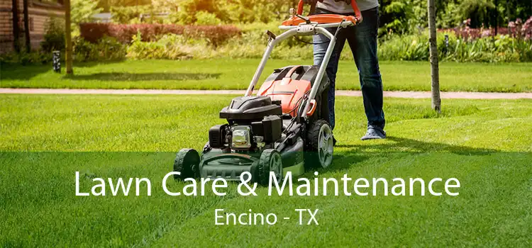 Lawn Care & Maintenance Encino - TX