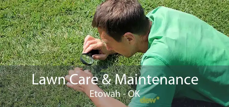 Lawn Care & Maintenance Etowah - OK