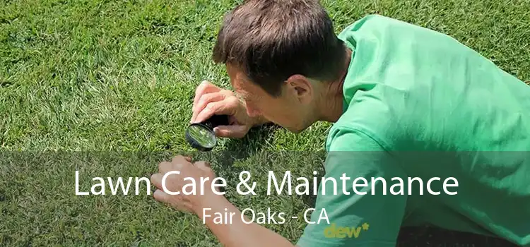 Lawn Care & Maintenance Fair Oaks - CA
