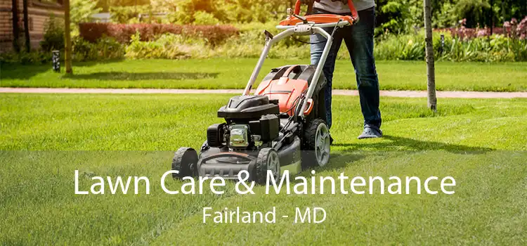  Lawn Care & Maintenance Fairland - MD