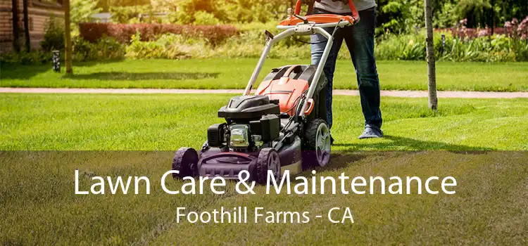  Lawn Care & Maintenance Foothill Farms - CA