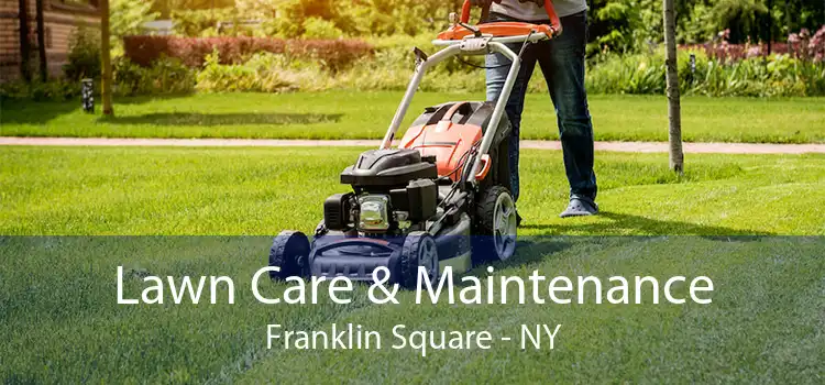 Lawn Care & Maintenance Franklin Square - NY