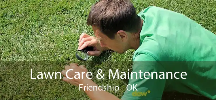 Lawn Care & Maintenance Friendship - OK
