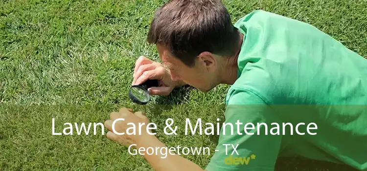 Lawn Care & Maintenance Georgetown - TX