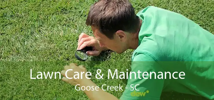 Lawn Care & Maintenance Goose Creek - SC
