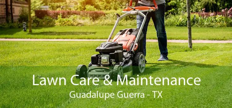 Lawn Care & Maintenance Guadalupe Guerra - TX