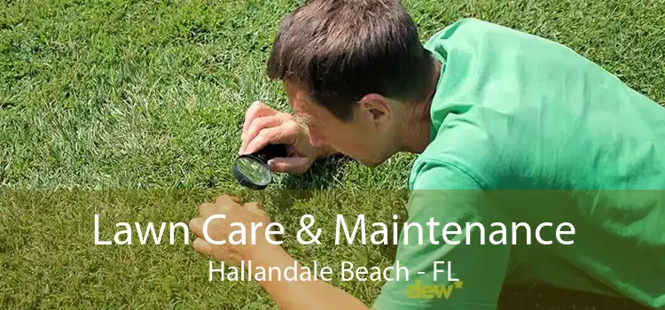 Lawn Care & Maintenance Hallandale Beach - FL