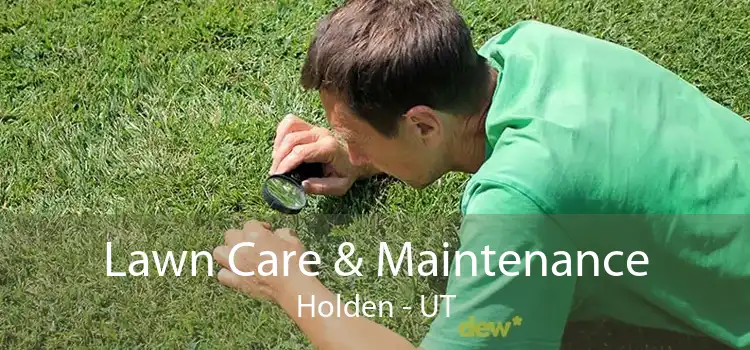 Lawn Care & Maintenance Holden - UT