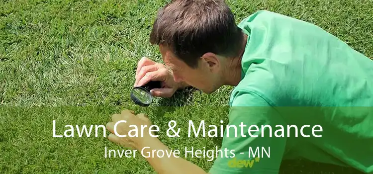 Lawn Care & Maintenance Inver Grove Heights - MN