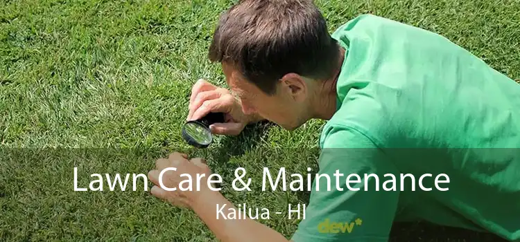 Lawn Care & Maintenance Kailua - HI