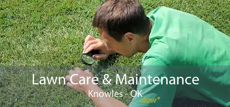 Lawn Care & Maintenance Knowles - OK