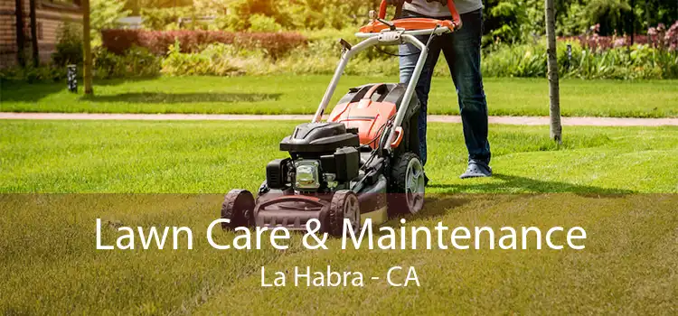  Lawn Care & Maintenance La Habra - CA