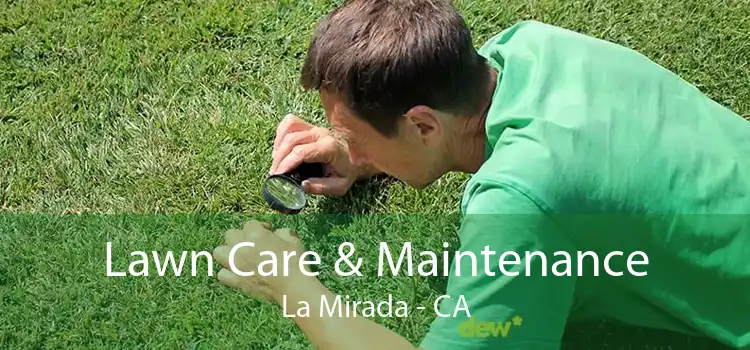 Lawn Care & Maintenance La Mirada - CA