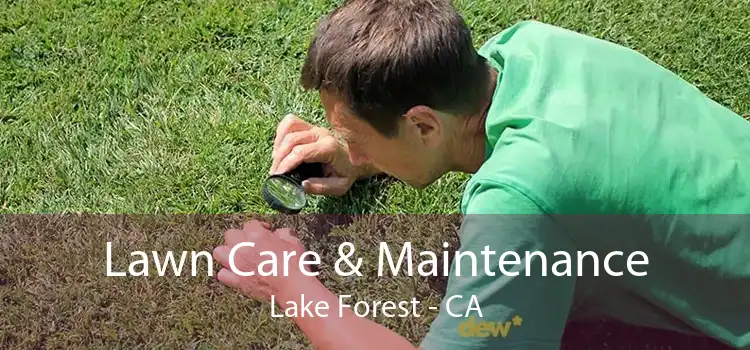 Lawn Care & Maintenance Lake Forest - CA