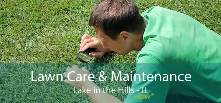 Lawn Care & Maintenance Lake in the Hills - IL