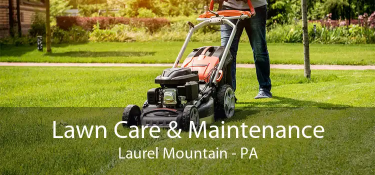 Lawn Care & Maintenance Laurel Mountain - PA