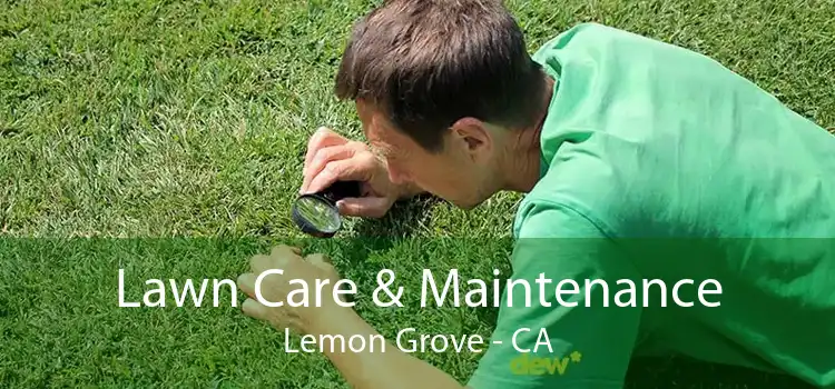 Lawn Care & Maintenance Lemon Grove - CA