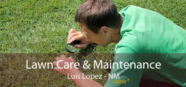Lawn Care & Maintenance Luis Lopez - NM