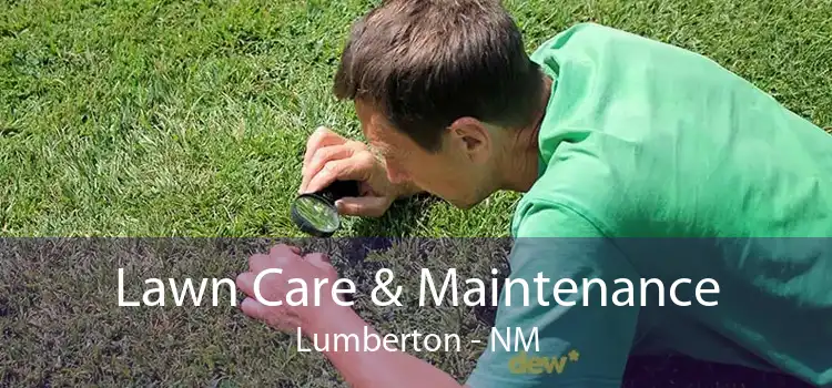 Lawn Care & Maintenance Lumberton - NM