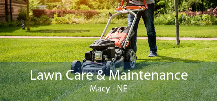 Lawn Care & Maintenance Macy - NE