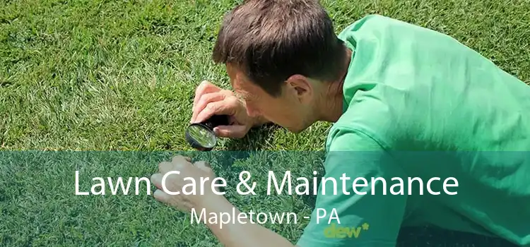 Lawn Care & Maintenance Mapletown - PA