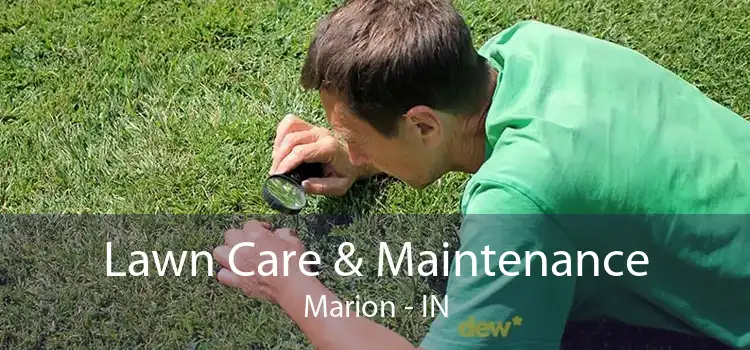 Lawn Care & Maintenance Marion - IN