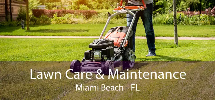 Lawn Care & Maintenance Miami Beach - FL