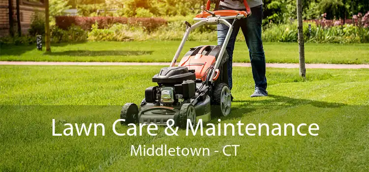  Lawn Care & Maintenance Middletown - CT