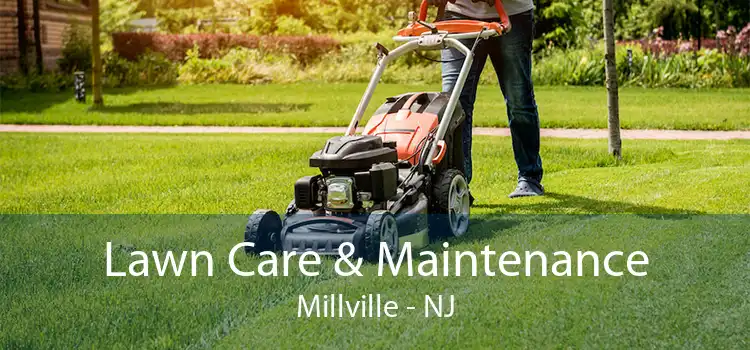 Lawn Care & Maintenance Millville - NJ