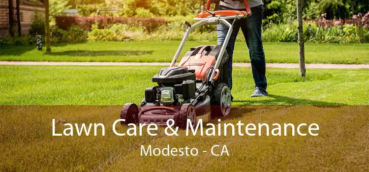  Lawn Care & Maintenance Modesto - CA