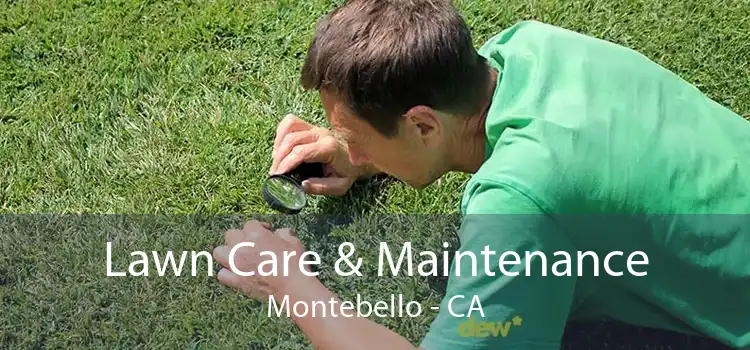 Lawn Care & Maintenance Montebello - CA