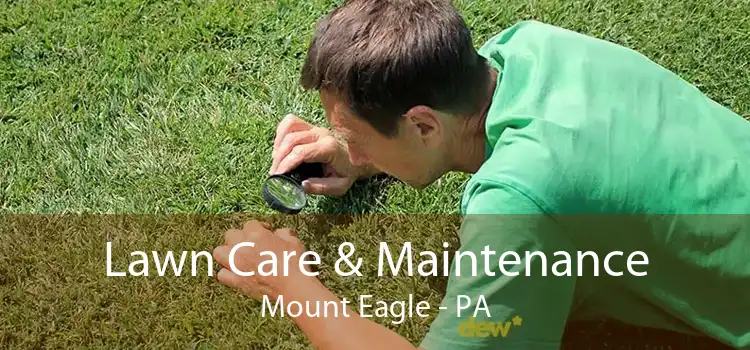 Lawn Care & Maintenance Mount Eagle - PA