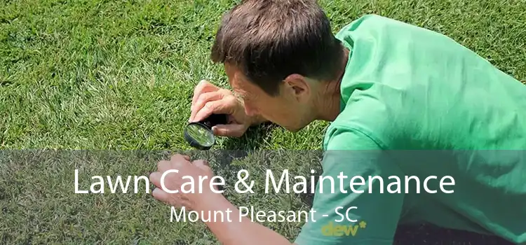 Lawn Care & Maintenance Mount Pleasant - SC