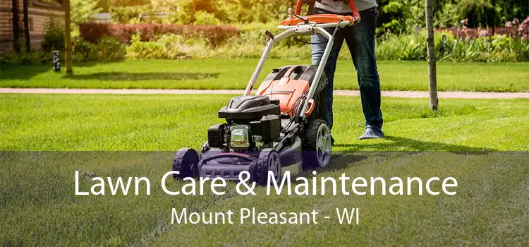 Lawn Care & Maintenance Mount Pleasant - WI