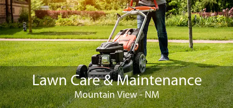 Lawn Care & Maintenance Mountain View - NM
