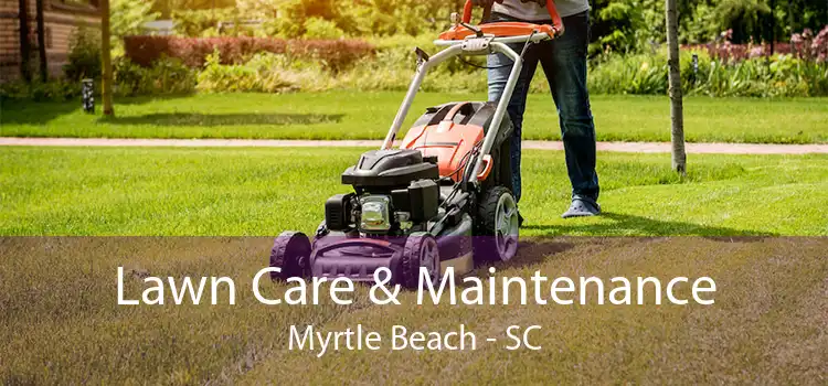 Lawn Care & Maintenance Myrtle Beach - SC