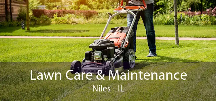  Lawn Care & Maintenance Niles - IL