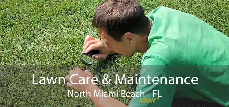 Lawn Care & Maintenance North Miami Beach - FL