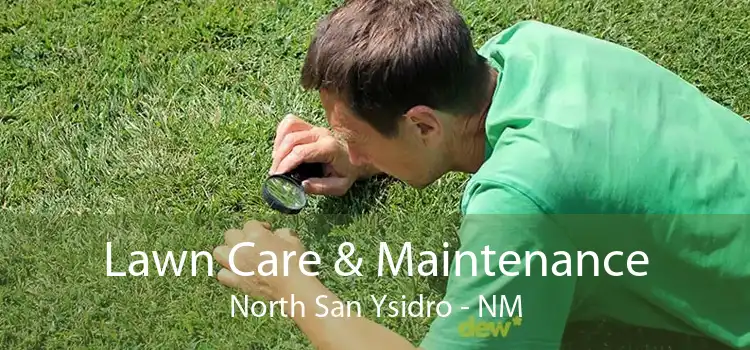 Lawn Care & Maintenance North San Ysidro - NM