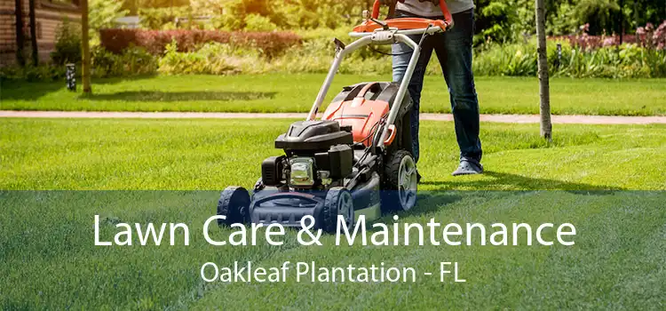 Lawn Care & Maintenance Oakleaf Plantation - FL