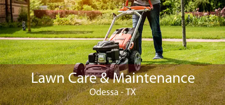Lawn Care & Maintenance Odessa - TX