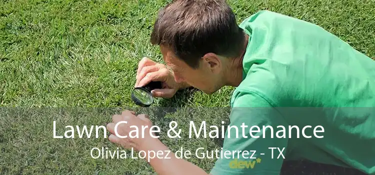 Lawn Care & Maintenance Olivia Lopez de Gutierrez - TX