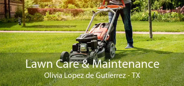 Lawn Care & Maintenance Olivia Lopez de Gutierrez - TX