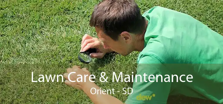 Lawn Care & Maintenance Orient - SD